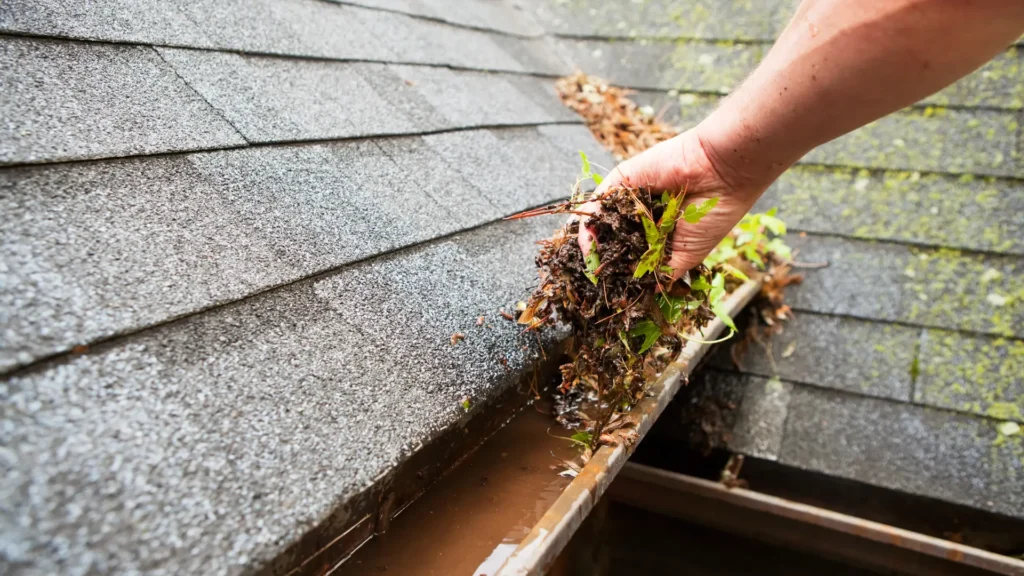 Czyszczenie i konserwacja rynien - zdjęcie przedstawia bardzo zanieczyszczone rynny - mchem, gałęziami i liśćmi