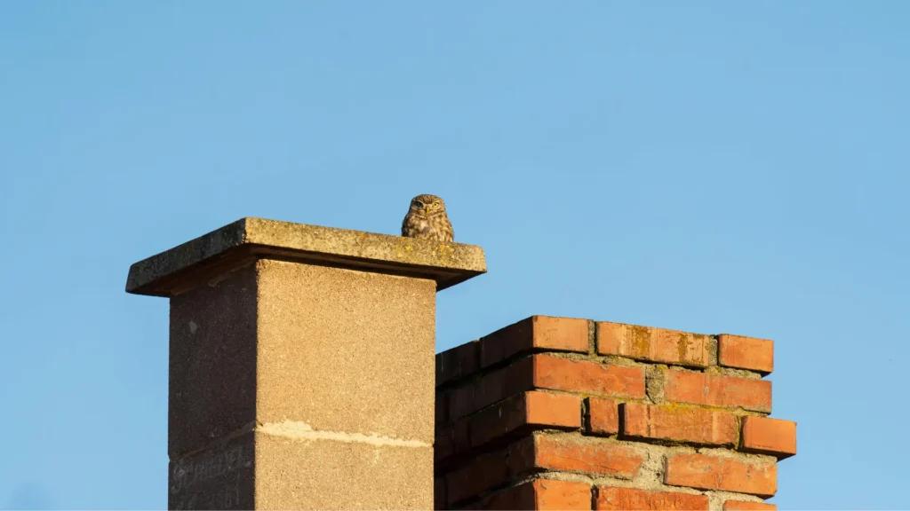 Uszczelnienie komina - zdjęcie przedstawia źle uszczelniony komin na dachu