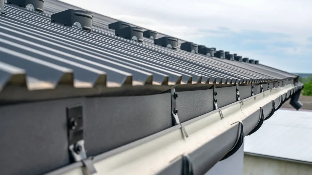 Czym jest pas nadrynnowy i jaką pełni funkcję