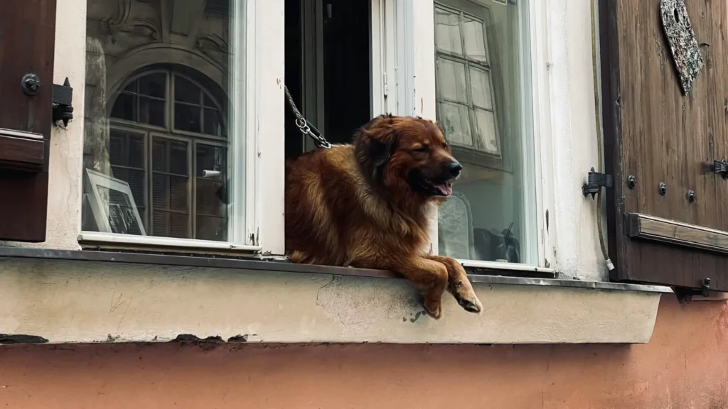 Parapety z blachy – zalety i zastosowanie