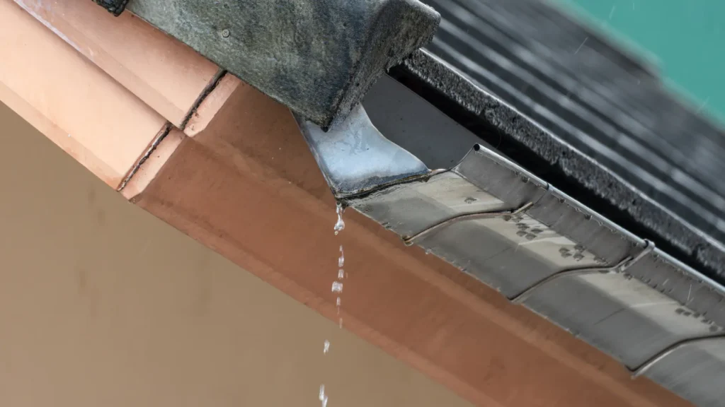 Pasy podrynnowe z blachy – ochrona elewacji i dachu